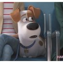 카리스농장 이미지