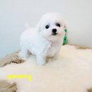 김해해피몽