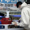 황금조개 튼튼장어 이미지