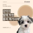 도곡동행동물병원 이미지