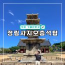정림사지박물관 | 부여 정림사지 5층석탑&amp;정림사지박물관 방문 후기