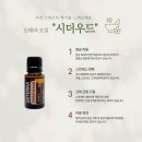 우리같이번지&요가