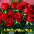도꾸도꾸 이미지