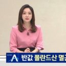 반값 폴란드산 멸균우유 인기…국내 낙농업계 ‘울상’ 이미지