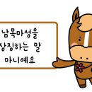 마니목장 이미지