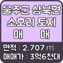 교동부동산공인중개사사무소 이미지