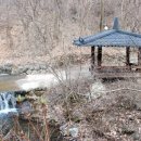 옥화상회 Daum카페