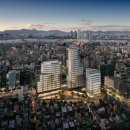 강남-229 이미지