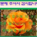 경상남도 수목원(열대식물원) 이미지