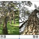 동청도농업협동조합 이미지