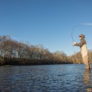 ROD Fitness 이미지