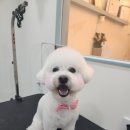 봉봉미용실 이미지