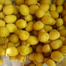 barhi dates (INDIA 의 과일) 이미지