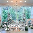 메종 드 루엘 | 수원 동탄 프라이빗한 소규모 돌잔치 장소 추천｜루엘 파티플레이스｜메종드페｜파티수｜견적 및 후기