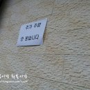 성북동 왕의 돈까스 이미지