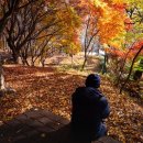 계남다목적체육관 이미지