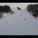 2011년 12월 4(일) 쓰리고 일가족 셋의 용평 골드죤 스킹 동영상! / 스킹후 저녁엔 즐겨 가는 주문진항 동광횟집에서 복어회(밀복)를 먹고... 이미지
