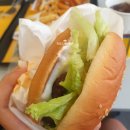 노브랜드버거구미진평점 | 구미 인동 가성비 버거 맛집 노브랜드버거(feat.갈릭앤갈릭)
