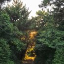 부산 동삼동 패총 | 부산 영도 숨은명소 TOP3 부산 영도 드라이브코스_영도중리에서 태종대 감지해변 해안관광도로