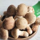 송화농장2 이미지