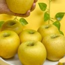 달달청과 이미지