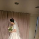 라보네르나나 이미지