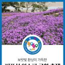 [좋은소식]10월 정모 때 아스타국화 축제가 열리네요! 이미지