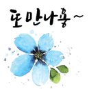 에코 캘리그라피 이미지
