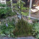 조이네집 이미지