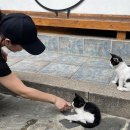 스마일코티지 | 여름