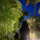 소이하우스 | 괌 두짓타니 내 레스토랑 3곳 후기 (소이 레스토랑, 알프레도 스테이크하우스, 타시그릴, 두짓골드...