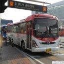 선진버스 이미지