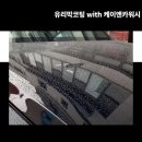 폴리앤카