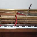 삼정상회 이미지