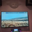 백마노래연습장 이미지