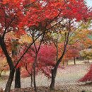 자연체험학습장 화장실 이미지