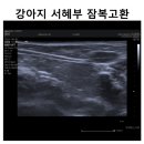 S동물의료센터 이미지