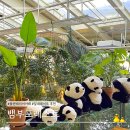 뱀부포레스트(BAMBOO Forest) | 플랜테리어 끝판왕! 한강 뷰 대나무숲 카페 &#39;뱀부포레스트&#39;