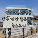 녹스피시 | 녹스고지 영주 카페 영주 신상 카페 영주가볼만한곳 추천해요~