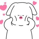 댕댕공방 네이버블로그