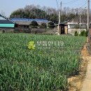 구만리농장 이미지