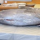 어부사시사(적) 이미지