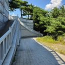 (주)충주호크루즈