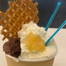 세븐일레븐송파석촌점 | 두쫀쿠를 찾아 떠나는 여정 (Ft. 송파두쫀쿠 목동두쫀쿠 편의점두쫀쿠)