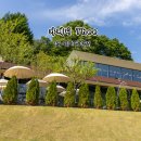 동백자연에너지 | 용인 기흥 동백 카페디 Thee 숲뷰 대형카페 후기