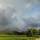 낙낙저수지 이미지