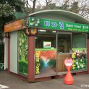 제주 평대리 비자나무 숲 이미지