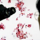 수정1호 이미지