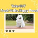 아지발바닥 | 아지 긁는 이유? 진드기 때문이라면 이거 하나면 OK