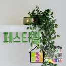 엘마트 양주점 이미지